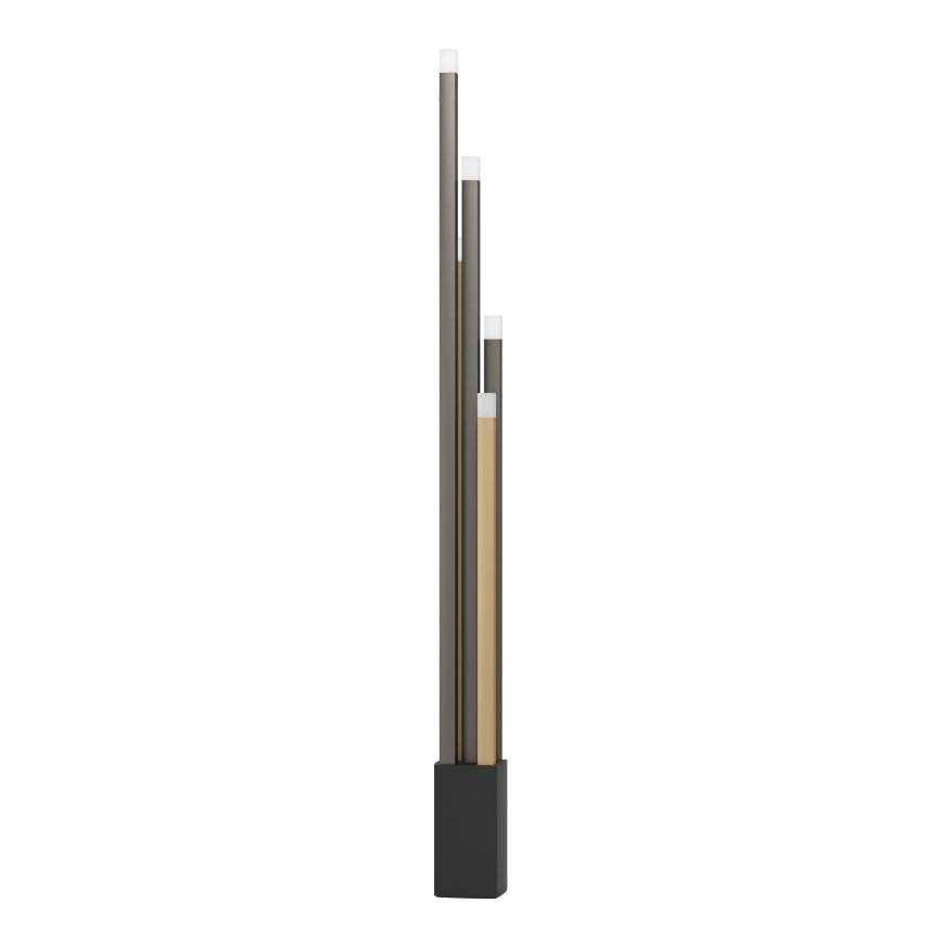 Eglo - LED gulvlampe dæmpbar 5xLED/3,7W/230V 3000K antracit/guldfarvet