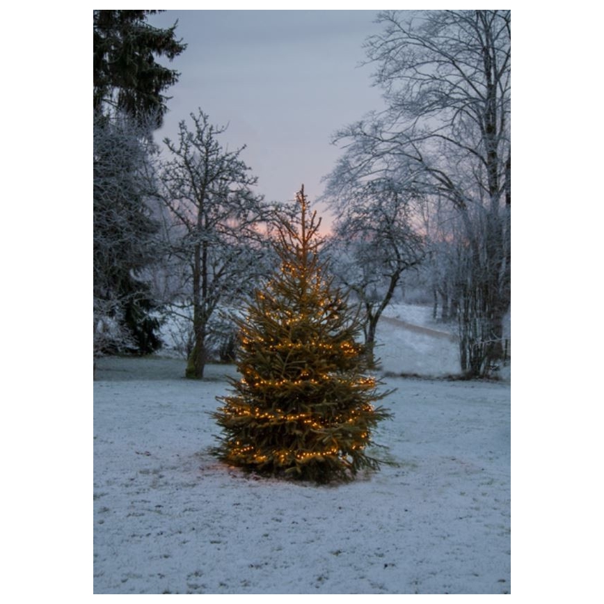 Eglo - Udendørs LED lyskæde 1200xLED 24 m IP44 varm hvid
