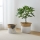 Eglo 426584 - Sæt 2 stk. dekorative kurve NANAE 30x31 cm hvid/beige