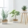 Eglo 426585 - Sæt med 3 dekorative kurve NANAE 16 x 27 cm, hvid/beige
