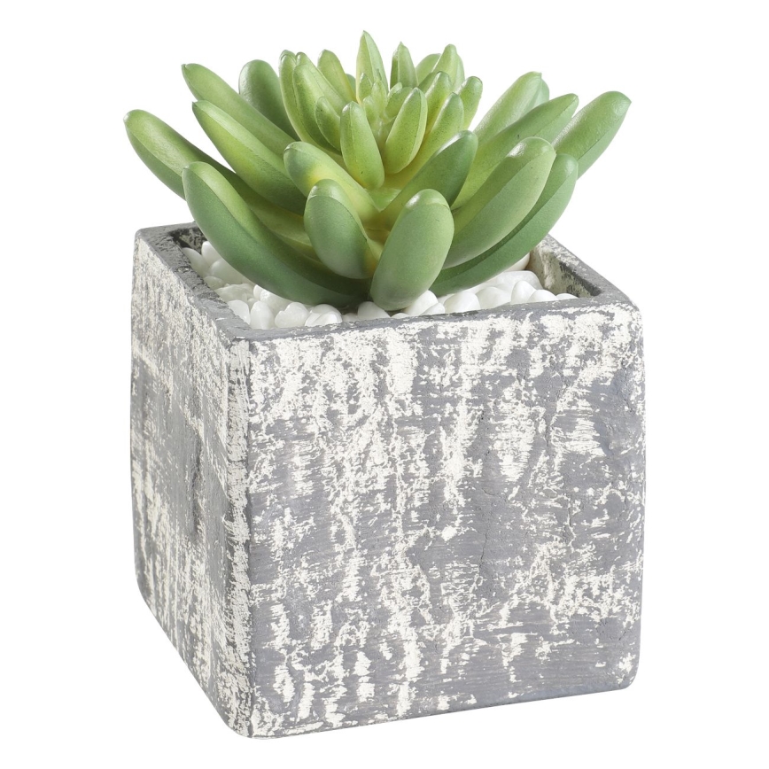 Eglo - Kunstig plante i blomsterpotte 12x7,5 cm sukkulent