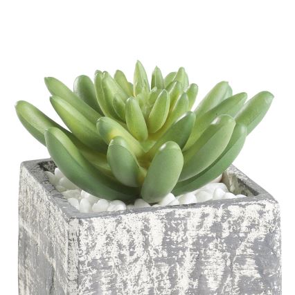 Eglo - Kunstig plante i blomsterpotte 12x7,5 cm sukkulent