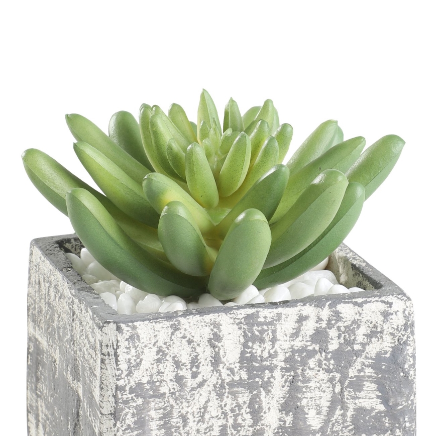 Eglo - Kunstig plante i blomsterpotte 12x7,5 cm sukkulent
