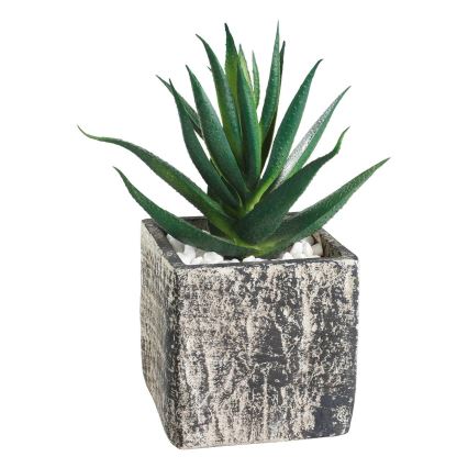 Eglo - Kunstig plante i blomsterpotte 13x9,5 cm sukkulent