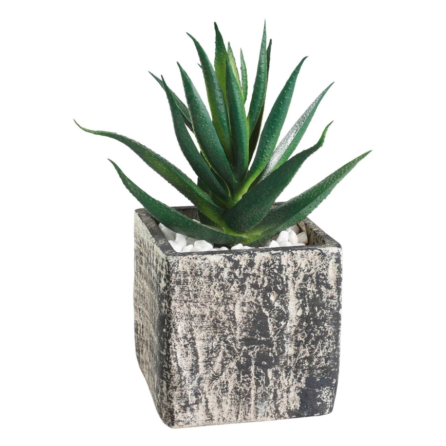 Eglo - Kunstig plante i blomsterpotte 13x9,5 cm sukkulent