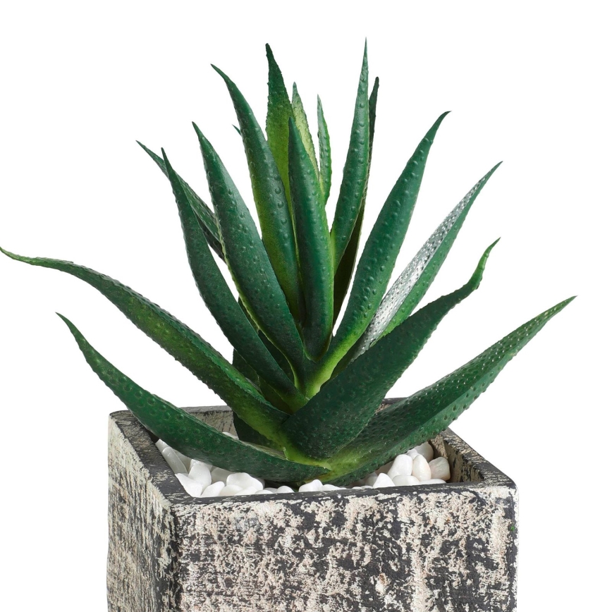 Eglo - Kunstig plante i blomsterpotte 13x9,5 cm sukkulent