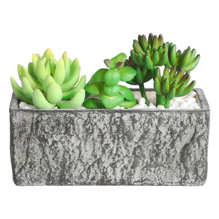 Eglo - Kunstig plante i blomsterpotte 14,5x17,8 cm sukkulent