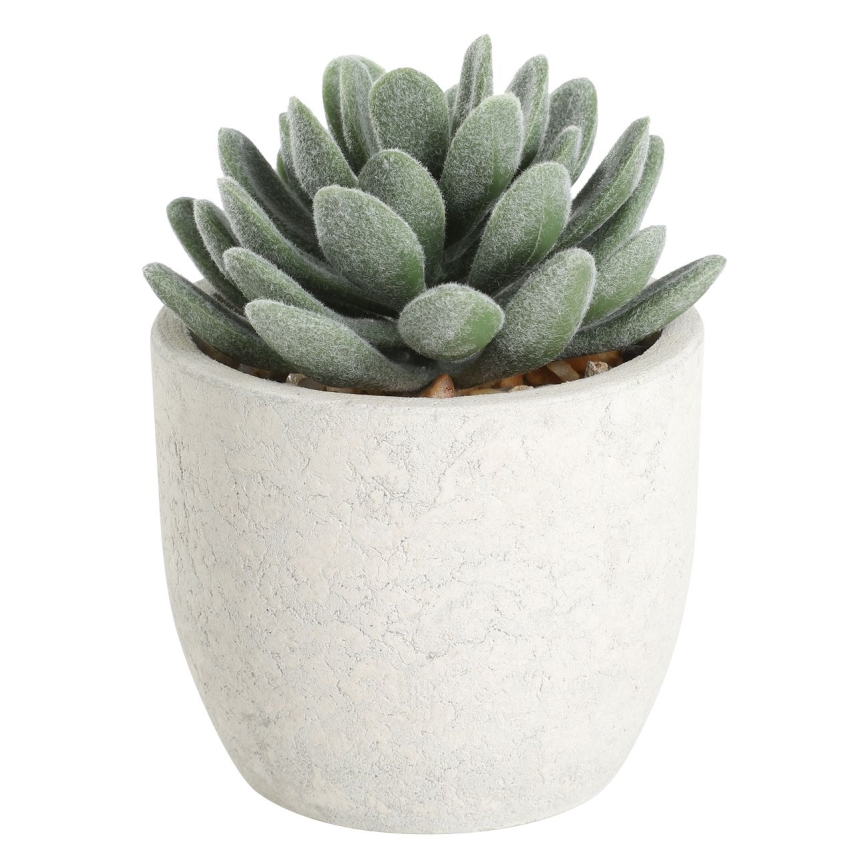 Eglo - Kunstig plante i blomsterpotte 11x8 cm sukkulent