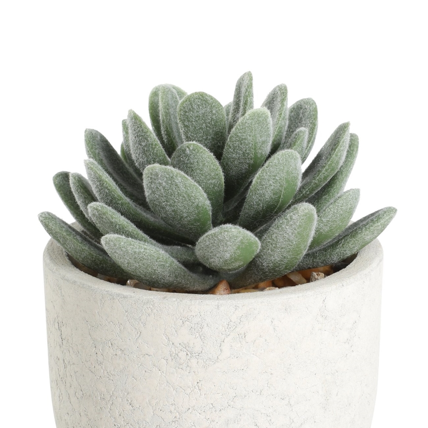 Eglo - Kunstig plante i blomsterpotte 11x8 cm sukkulent