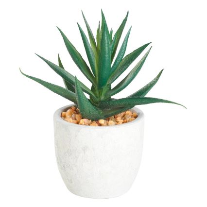 Eglo - Kunstig plante i blomsterpotte 15,5x10 cm sukkulent