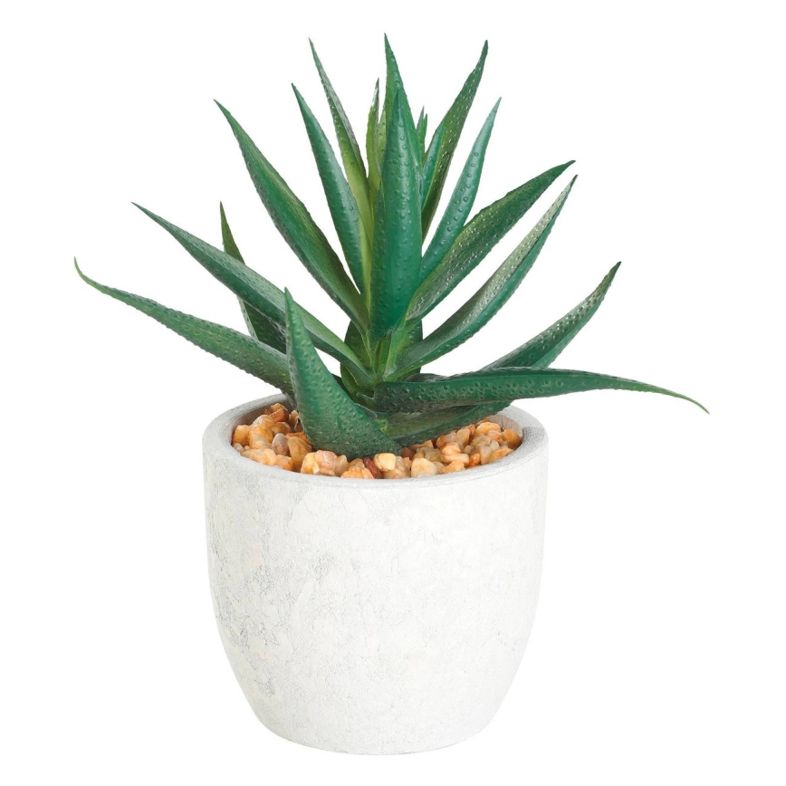 Eglo - Kunstig plante i blomsterpotte 15,5x10 cm sukkulent