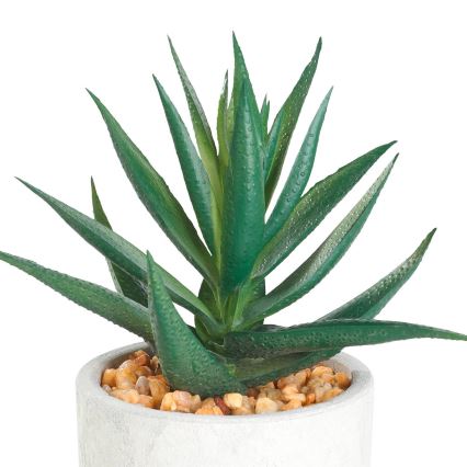 Eglo - Kunstig plante i blomsterpotte 15,5x10 cm sukkulent