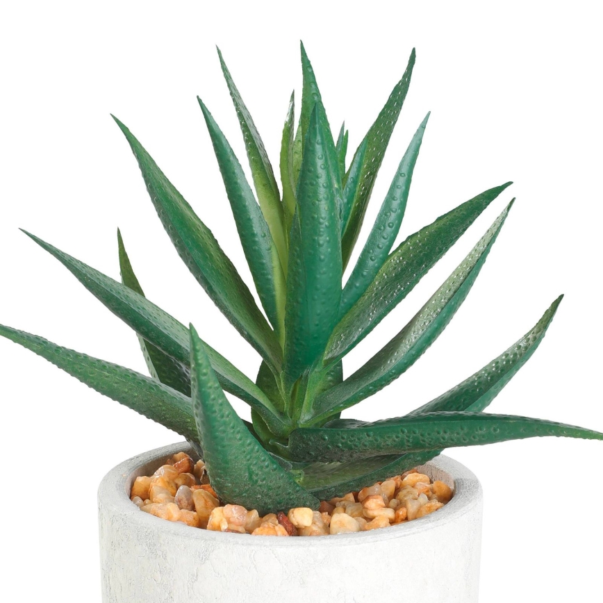 Eglo - Kunstig plante i blomsterpotte 15,5x10 cm sukkulent