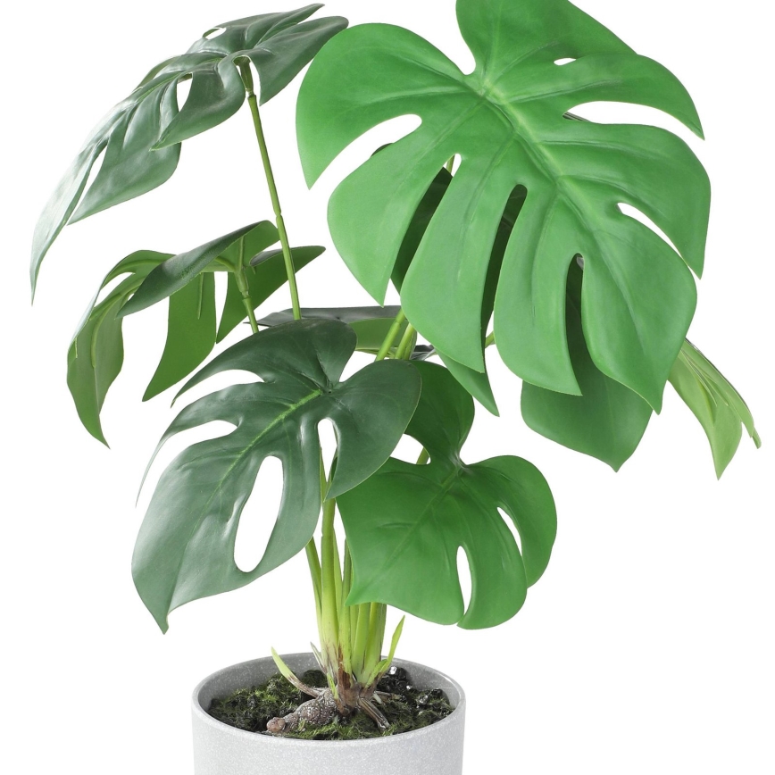 Eglo - Kunstig plante i blomsterpotte 42x30 cm monstera