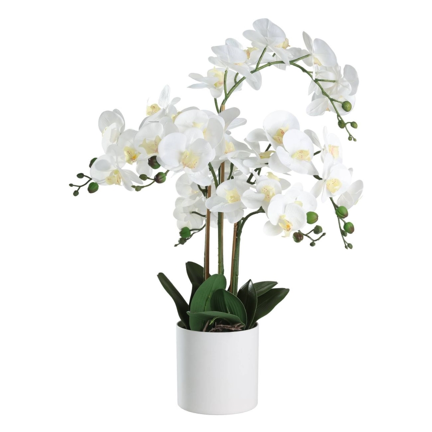 Eglo - Kunstig plante i blomsterpotte 65x50 cm orkidé