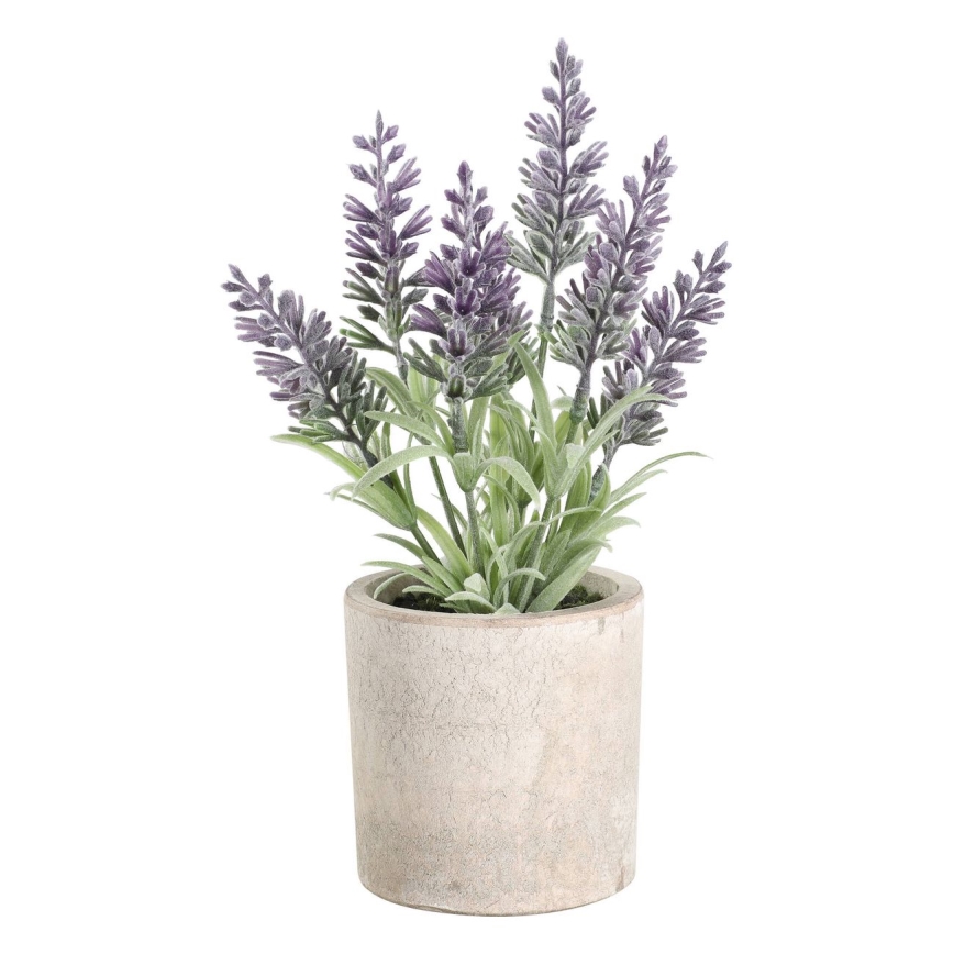 Eglo - Kunstig plante i blomsterpotte 22x8 cm lavendel