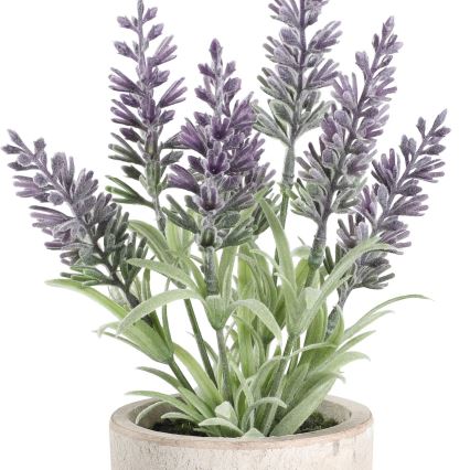 Eglo - Kunstig plante i blomsterpotte 22x8 cm lavendel