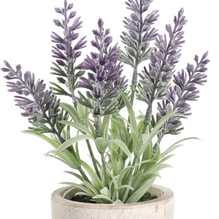 Eglo - Kunstig plante i potte 22x8 cm lavendel