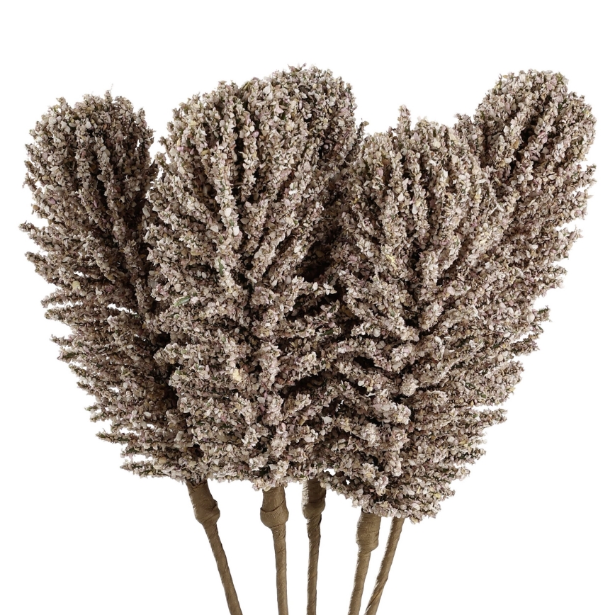 Eglo - Kunstig blomst 30 cm beige