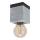 Eglo 43595 - Loftlampe PRESTWICK 1xE27/40W/230V