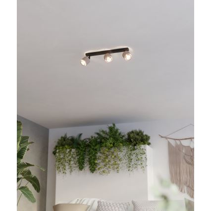 Eglo - Væglampe 3xE14/40W/230V sort/beige