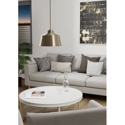 Eglo - Loftlampe på ledning 1xE27/40W/230V