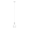 Eglo 62265 - Pendel PASCOA PRO 1xE27/60W/230V 15,6 cm hvid