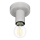 Eglo 64106 - Loftlampe IGUALA 1xE27/40W/230V grå