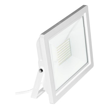 Eglo 64842 - LED projektør FILETTI LED/30W/230V 3000K IP65 hvid
