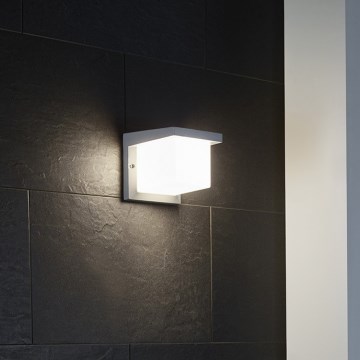 Eglo 65045 - Udendørs LED væglampe DESELLA PRO LED/10W/230V IP54 sølvfarvet