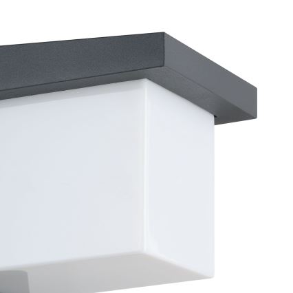 Eglo 65046 - Udendørs LED væglampe DESELLA PRO LED/10W/230V IP54 antracit