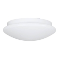 Eglo 68317 - Badeværelsesloftlampe ELLA PROJEKT 1xE27/20W/230V IP44 Ø 30 cm