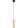 Eglo 79342 - Pendel PINTO GOLD 1xE27/40W/230V guldfarvet