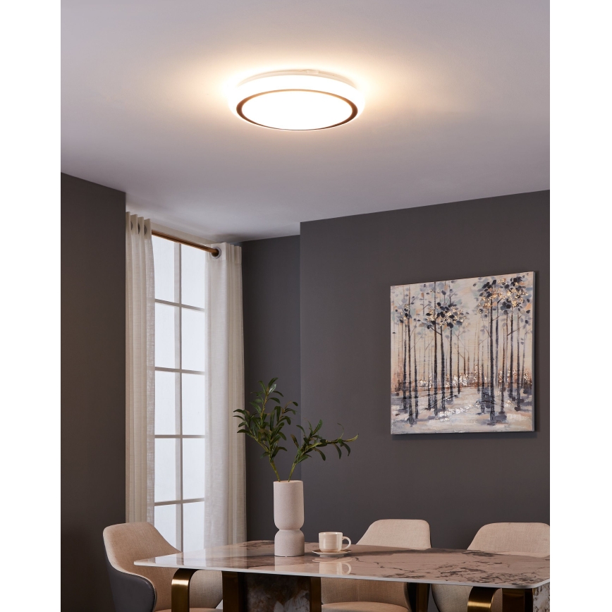 Eglo - LED loftlampe LED/14,6W/230V