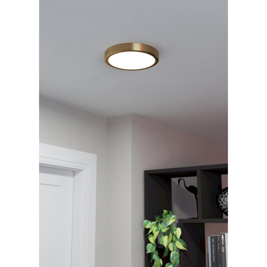 Eglo - LED loftlampe LED/17W/230V Ø 21 cm Ø 21 cm