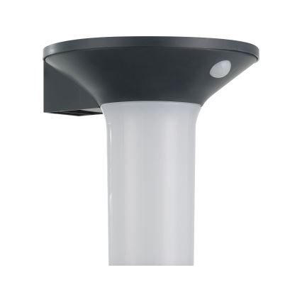 Eglo - LED udendørs solcellelampe med sensor 6xLED/0,03W/3,7V IP44