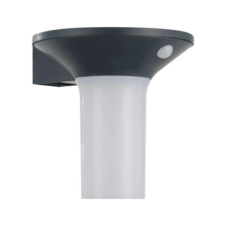 Eglo - LED udendørs solcellelampe med sensor 6xLED/0,03W/3,7V IP44