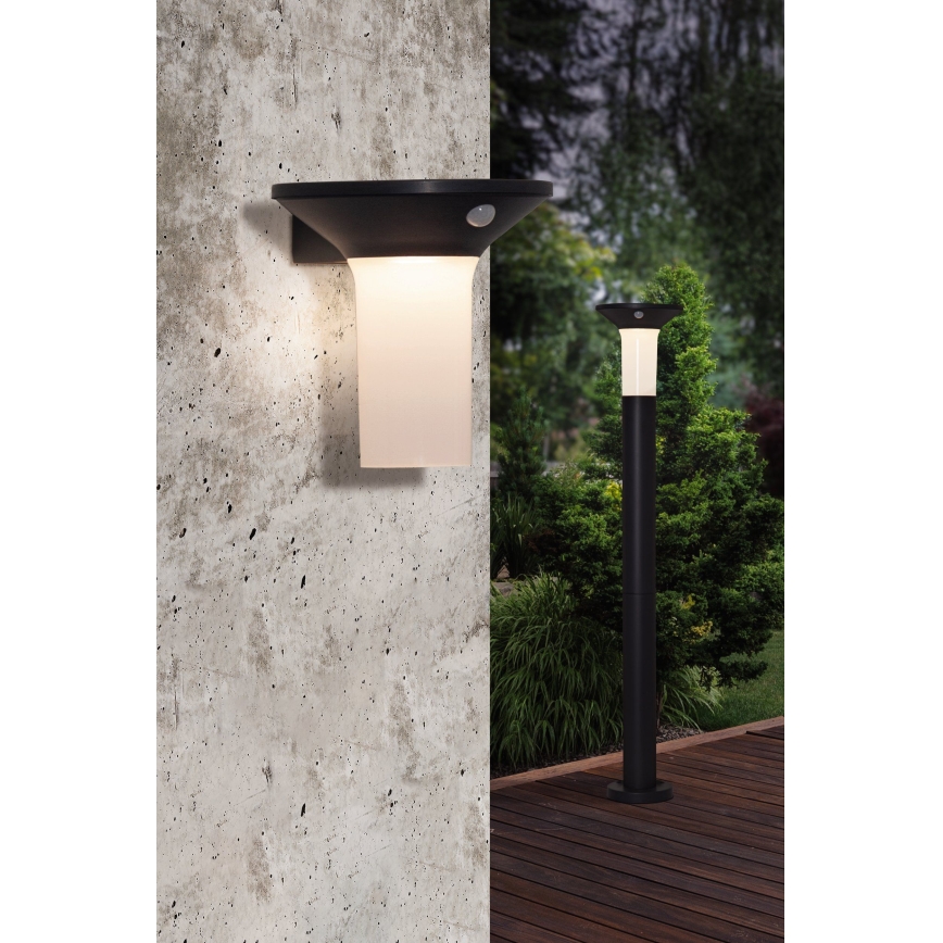 Eglo - LED udendørs solcellelampe med sensor 6xLED/0,03W/3,7V IP44