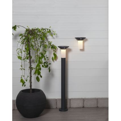 Eglo - LED solcellelampe med sensor 6xLED/0,03W/3,7V 1500 mAh IP44
