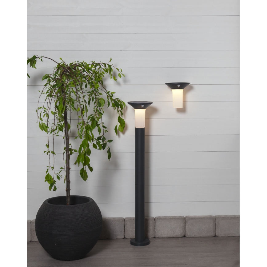 Eglo - LED solcellelampe med sensor 6xLED/0,03W/3,7V 1500 mAh IP44