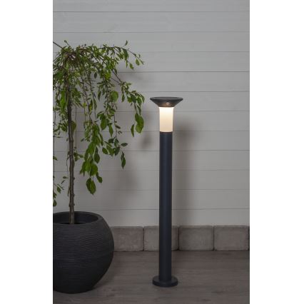 Eglo - LED udendørs solcellelampe med sensor 6xLED/0,03W/3,7V 1500 mAh IP44