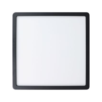 Eglo - Udendørs LED loftlampe LED/20,5W/230V IP44 sort