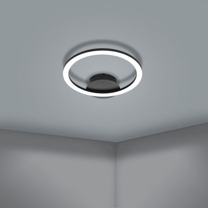 Eglo - LED loftlampe dæmpbar LED/15W/230V