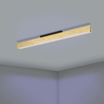 Eglo - LED loftlampe m. RGBW-farver dæmpbar LED/35W/230V 2700-6500K