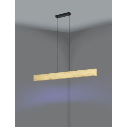 Eglo - LED pendel m. RGBW-farver dæmpbar LED/35W/230V 2700-6500K