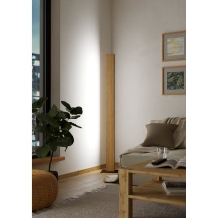Eglo - LED gulvlampe m. RGBW-farver dæmpbar LED/35W/230V 2700-6500K