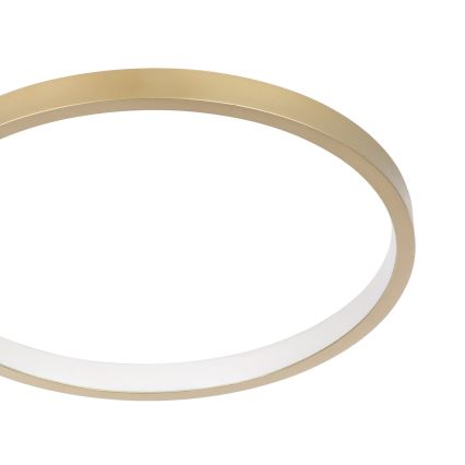 Eglo - LED loftlampe dæmpbar LED/15W/230V guldfarvet + fjernbetjening