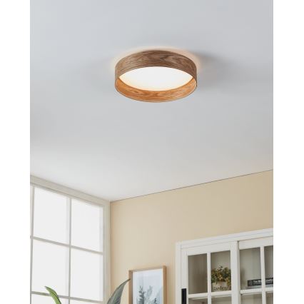 Eglo - LED loftlampe LED/24W/230V