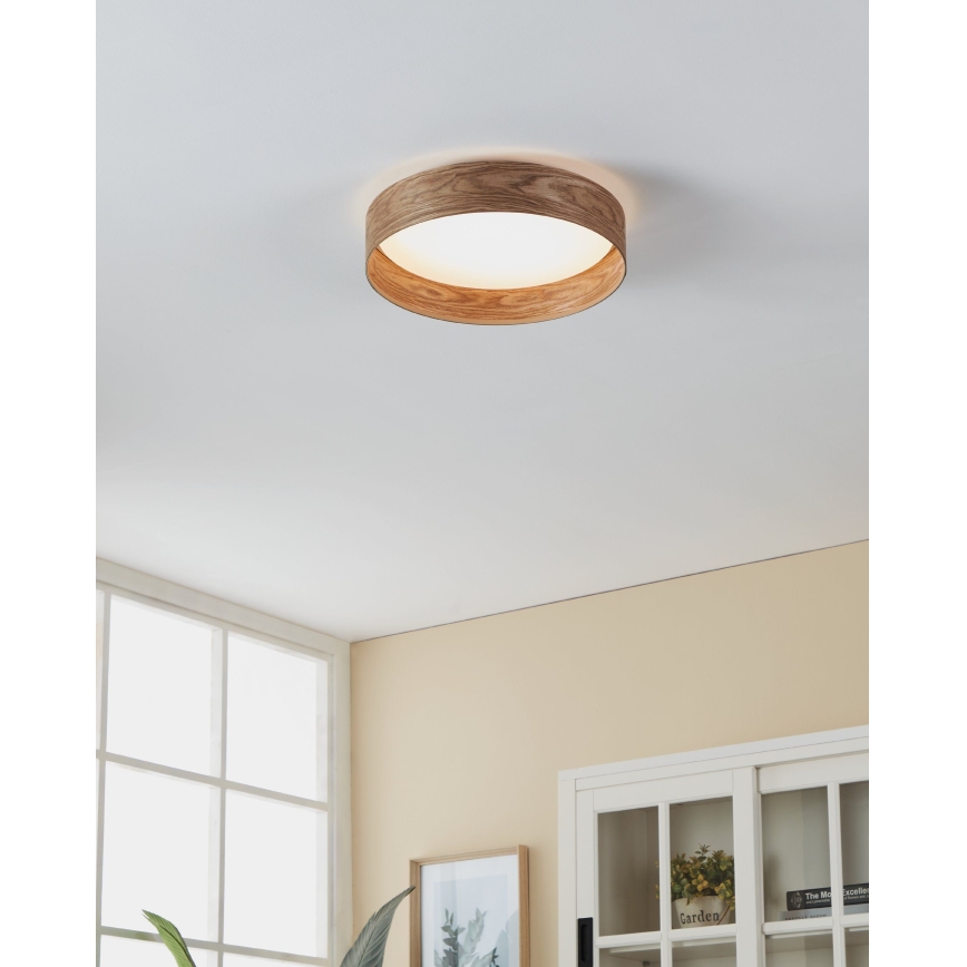 Eglo - LED loftlampe LED/24W/230V