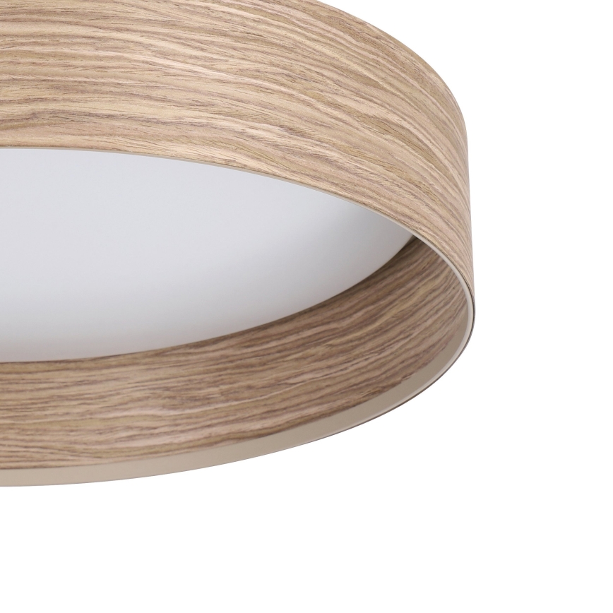 Eglo - LED loftlampe LED/24W/230V